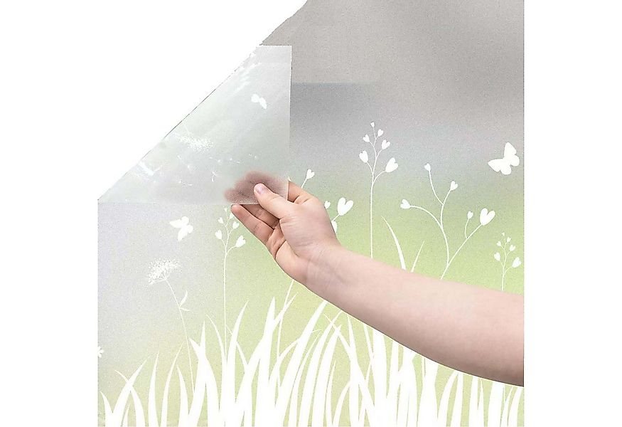 Coonoor Fensterfolie Blickdicht Löwenzahn Sichtschutzfolie Anti-UV für Bade günstig online kaufen
