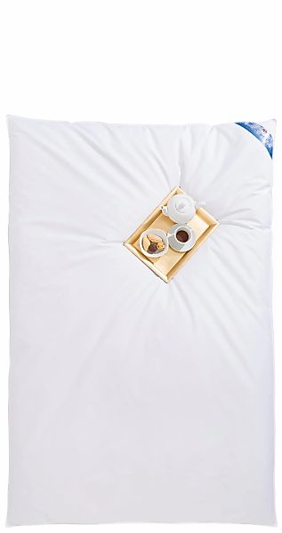 RIBECO Federbettdecke "Leon, Ballonbettdecke Leon, 135x200 & 155x220 cm" ex günstig online kaufen