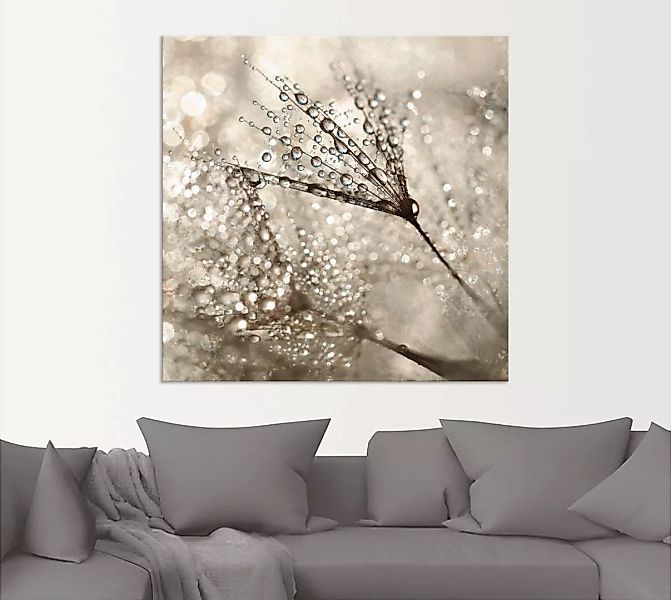 Artland Wandbild »Pusteblume Tautropfen«, Blumen, (1 St.), als Alubild, Out günstig online kaufen