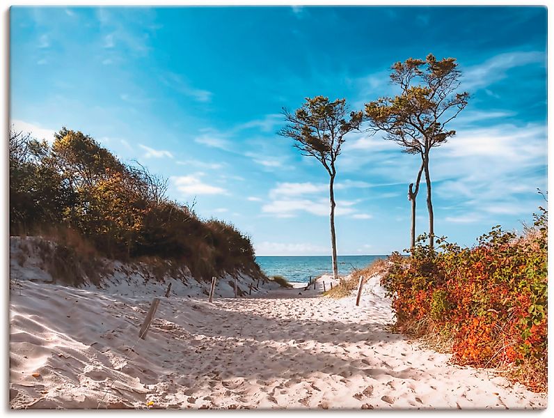 Artland Wandbild »Weststrand Darss« Strand 1 Stk. tlg. als Leinwandbild, Po günstig online kaufen