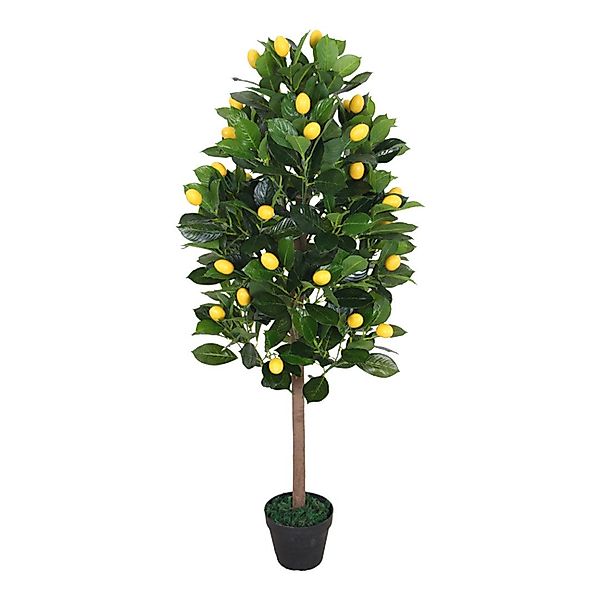 Kunstbaum SMARAGDLINE künstliche Bäume in verschiedenen günstig online kaufen