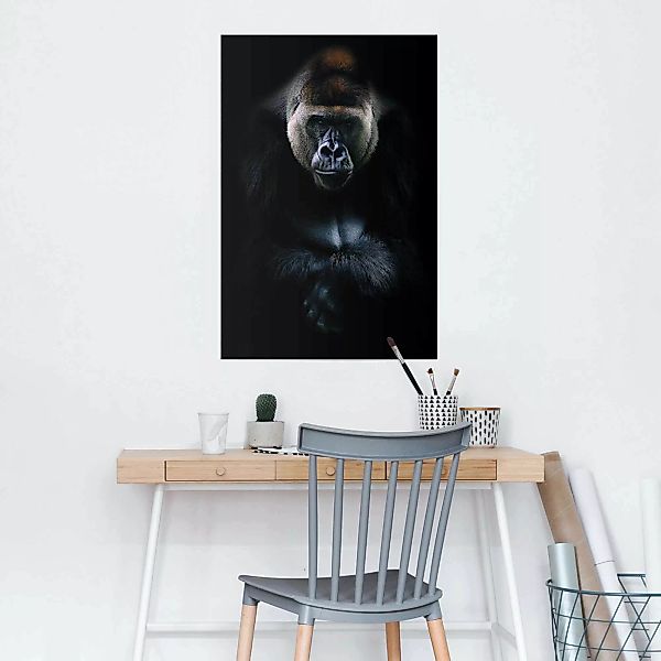 Reinders Poster "Gorilla Gorilla", (1 St.) günstig online kaufen