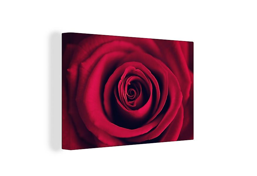OneMillionCanvasses® Leinwandbild Rosen - Rot - Blumen, Fotodruck (1 St), L günstig online kaufen