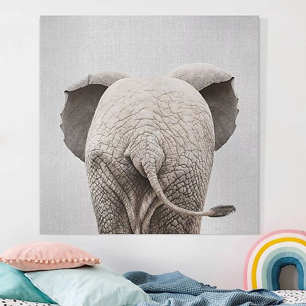 Leinwandbild Baby Elefant von hinten günstig online kaufen