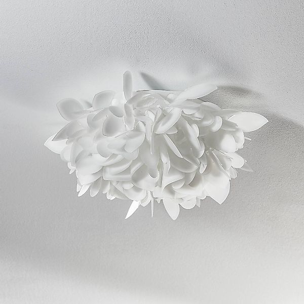 Slamp Veli Foliage Mini Wandleuchte, Ø 36cm günstig online kaufen