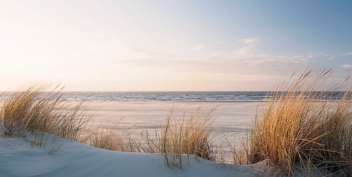 Bönninghoff Leinwandbild Düne  Strand 1 Stk. tlg. BxH: 100x50 cm günstig online kaufen