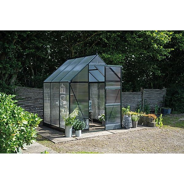 Halls Gewächshaus Icon 6 Grün 3,7 m² günstig online kaufen