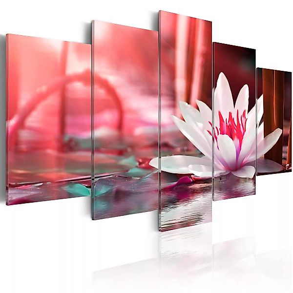 Wandbild - Amaranthine Lotus günstig online kaufen
