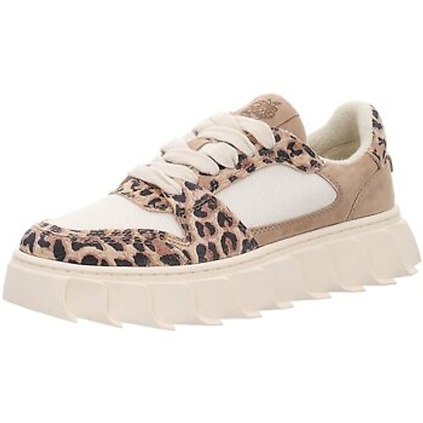 Apple Of Eden  Sneaker London 31.1leo günstig online kaufen
