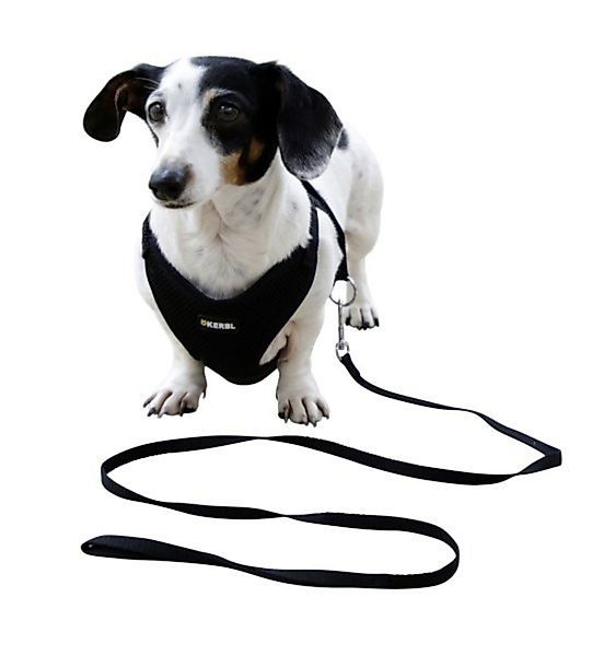 Kerbl Hunde-Geschirr Welpengeschirr schwarz 30 cm günstig online kaufen