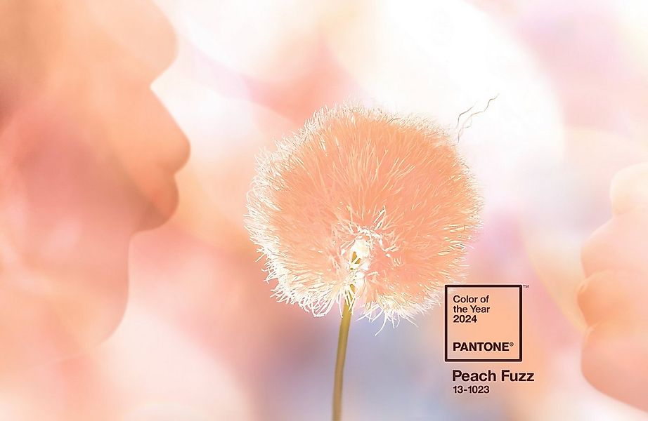 PANTONE Schlüsselanhänger Schlüsselband, COY 2024 - Peach Fuzz 13-1023, Far günstig online kaufen