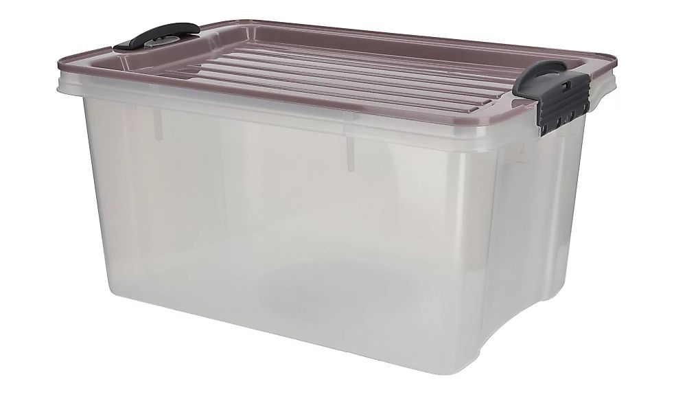 Rotho Aufbewahrungsbox mit Deckel - lila/violett - Kunststoff - 18,5 cm - 1 günstig online kaufen
