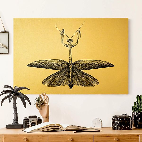 Leinwandbild Illustration stolze Mantis Schwarz günstig online kaufen