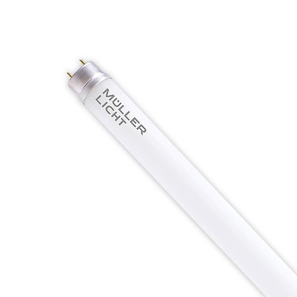 LED-Leuchtmittel Röhre G13 21,8W, 150cm, 4.000K 3.500lm, EVG günstig online kaufen