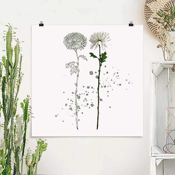 Poster Blumen - Quadrat Botanisches Aquarell - Löwenzahn günstig online kaufen