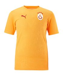 PUMA T-Shirt PUMA Galatasaray Istanbul Training günstig online kaufen
