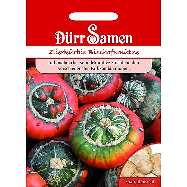 Dürr Samen Zierkürbis Bischofsmütze Saatgut günstig online kaufen