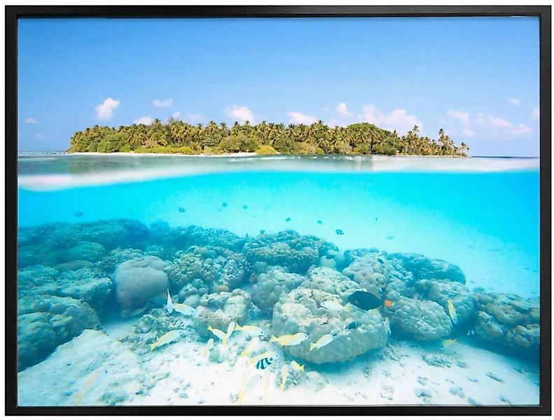 Wall-Art Poster "Unterwasserwelt Malediven", Meer, (1 St.), Poster ohne Bil günstig online kaufen