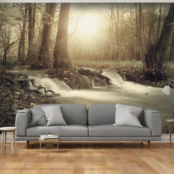 artgeist Fototapete Forest Cascade mehrfarbig Gr. 250 x 175 günstig online kaufen
