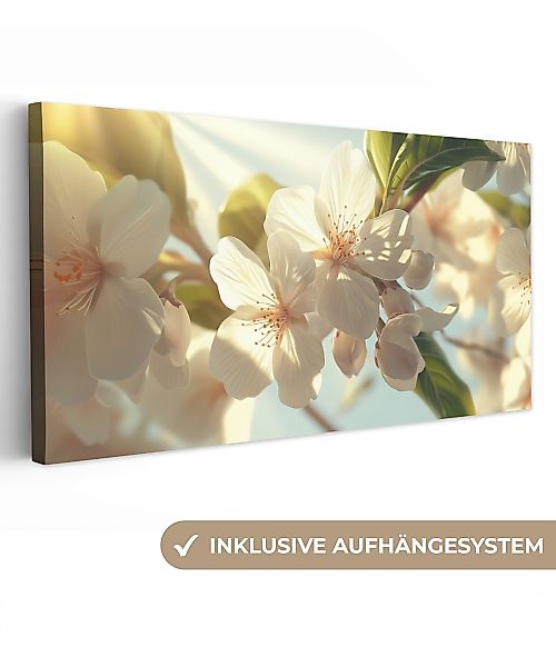 OneMillionCanvasses® Leinwandbild Panorama Blüten - Weiß günstig online kaufen