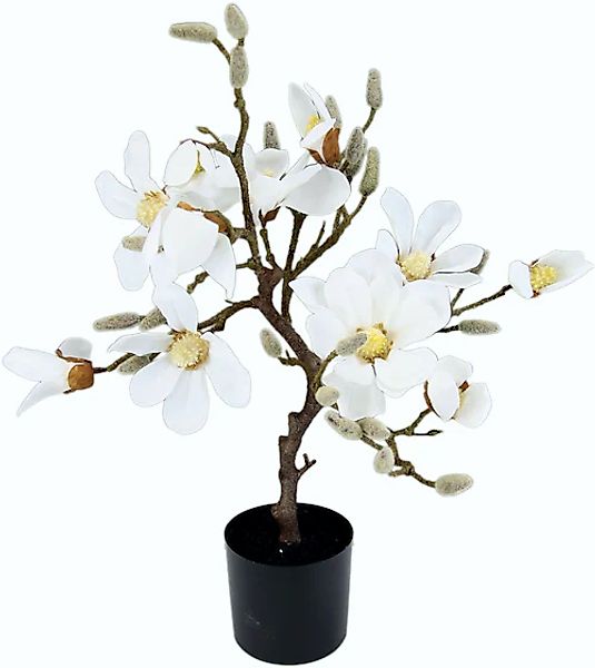 I.GE.A. Kunstbaum »Magnolienbaum«, im Kunststofftopf günstig online kaufen
