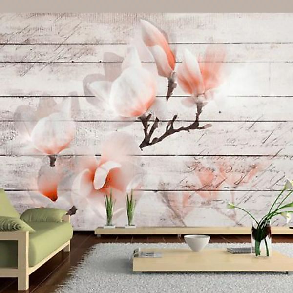 artgeist Fototapete Subtlety of the Magnolia mehrfarbig Gr. 400 x 280 günstig online kaufen