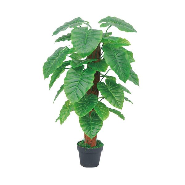 Kunstpflanze SMARAGDLINE künstliche Grünpflanzen in verschiedenen günstig online kaufen