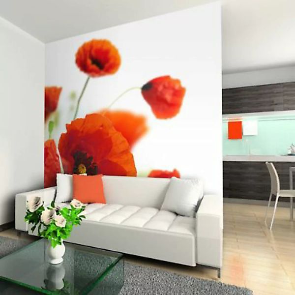 artgeist Fototapete Poppies on the wihite background mehrfarbig Gr. 300 x 2 günstig online kaufen