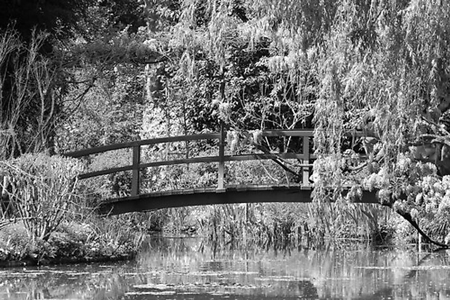 Papermoon Fototapete »Garten Schwarz & Weiß« günstig online kaufen