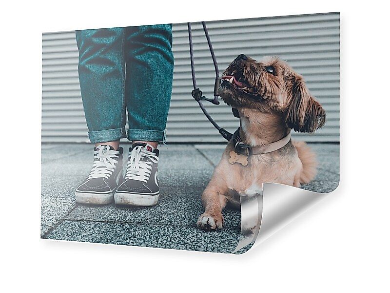 Foto auf Poster im Format 20 x 16 cm im Format 20 x 16 cm günstig online kaufen