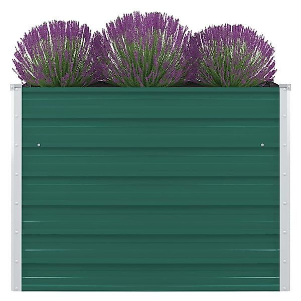 vidaXL Hochbeet Hochbeet 100 x 100 günstig online kaufen