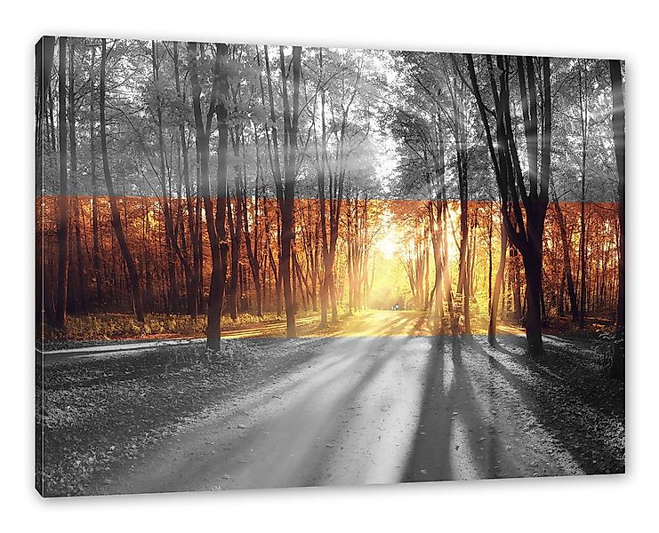 Pixxprint Leinwandbild Allee im Herbstlicht, Allee im Herbstlicht (1 St), L günstig online kaufen