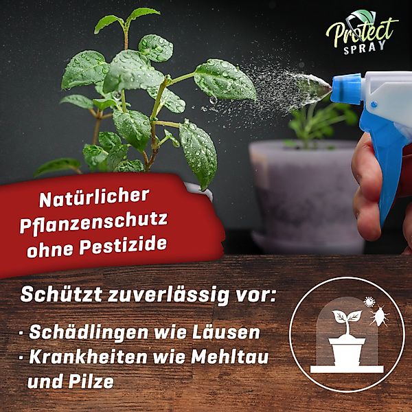 Plant Booom Pflanzenstärkungsmittel Protect Spray Plant günstig online kaufen