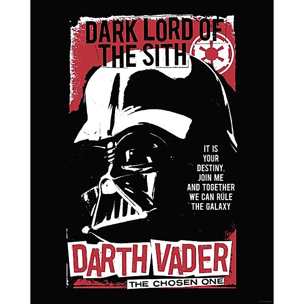 Komar Wandbild Star Wars Darth Vader The Chosen One 40 cm x 50 cm Rot günstig online kaufen