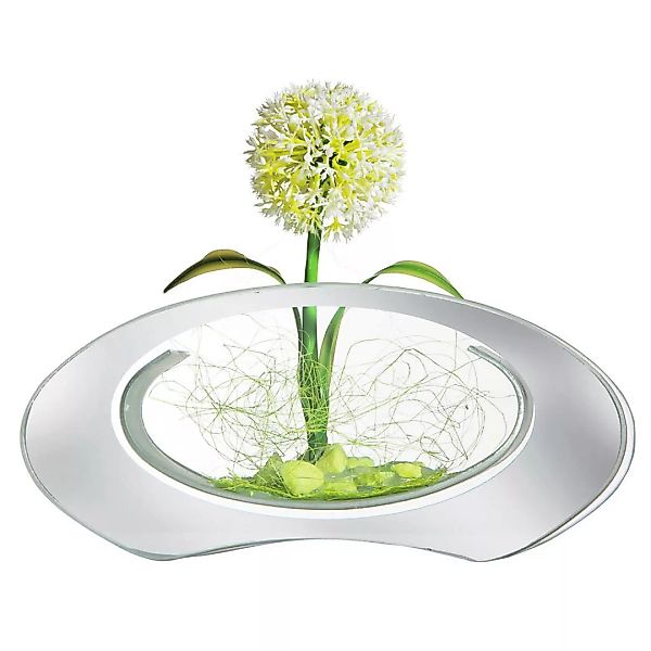 POCOline Vase klar Glas B/H/L: ca. 4,5x9,5x20 cm günstig online kaufen