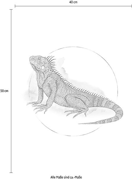 Komar Bild "Iguana Watercolor", Tiere, (1 St.), Wandbild zur Dekoration - o günstig online kaufen