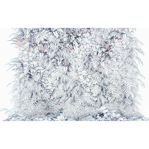 Sanders & Sanders Fototapete Vertical Garden Grauweiß 400 x 250 cm 612369 günstig online kaufen