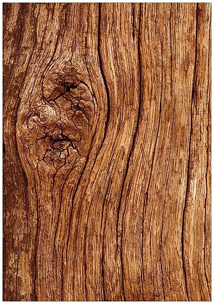 Wallario Wandfolie, Holzstamm mit Asteinschluss, in günstig online kaufen