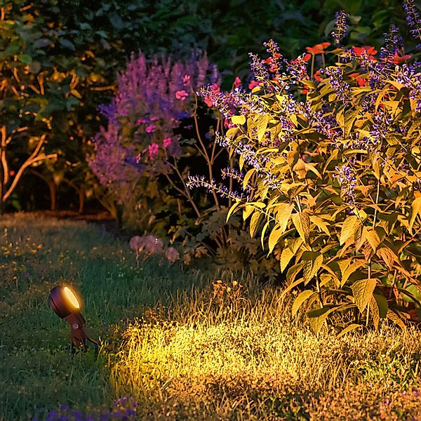 Paulmann LED Gartenstrahler »Plug & Shine Sting Einzelspot IP67 2200K 6,3W günstig online kaufen