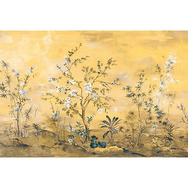 Komar Fototapete Vlies Mandarin  368 x 248 cm günstig online kaufen