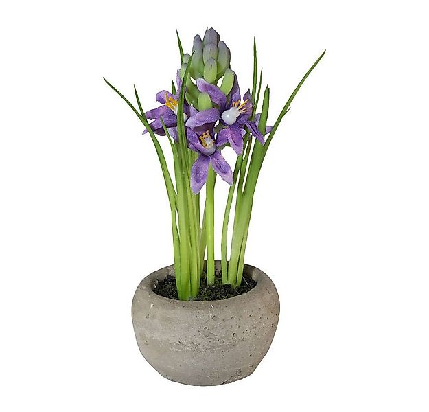 Kunstblume Kunstpflanze HYAZINTHE im Zementtopf. Ca 15cm. Lilie getopft. LI günstig online kaufen