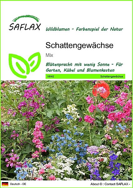 SAFLAX Blumensamen SAFLAX - Samen - günstig online kaufen