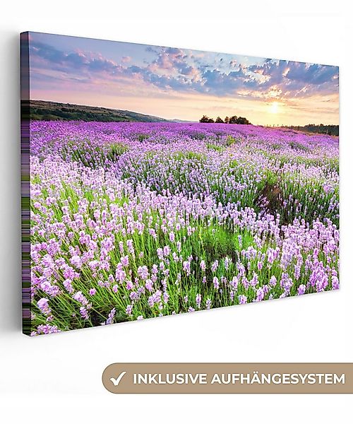 OneMillionCanvasses® Leinwandbild Lavendel - Blumen - Sonnenuntergang - Lil günstig online kaufen
