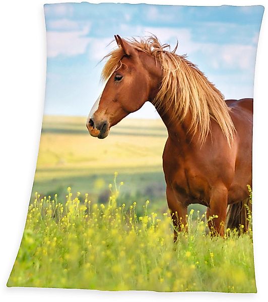 Kinderdecke Pferd, Herding Young Collection, mit günstig online kaufen