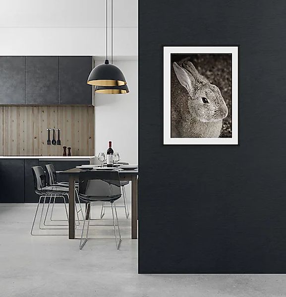 queence Bild »Tilde« Foto   Hase   Hasen   Haustiere   Kunst 1 Stk. tlg. HD günstig online kaufen