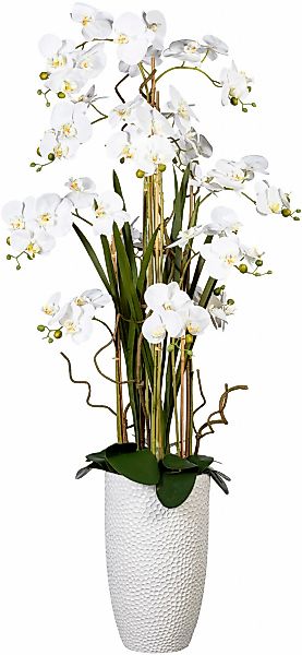 Creativ green Kunstorchidee "Deko-Orchidee Phalaenopsis XXL im Keramiktopf" günstig online kaufen