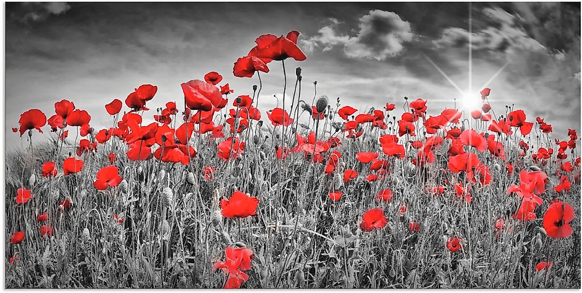 Artland Wandbild "Idyllisches Mohnblumenfeld mit Sonne" 1 Stk. tlg. als Alu günstig online kaufen