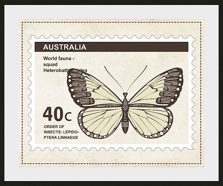 queence Bild »40c«, Schmetterlinge-Kunst-Insekten, (1 St.), HD Premium Post günstig online kaufen
