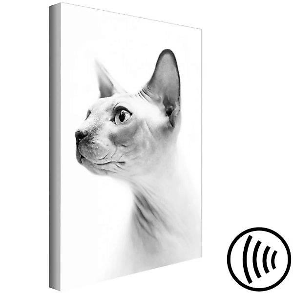 Wandbild Nachdenkliche Sphinx - SW-Porträt einer Katze auf weißem Hintergru günstig online kaufen