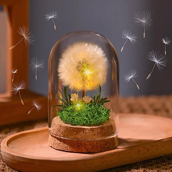 Trockenblume Wunscherfüller Pusteblume im Glas mit günstig online kaufen